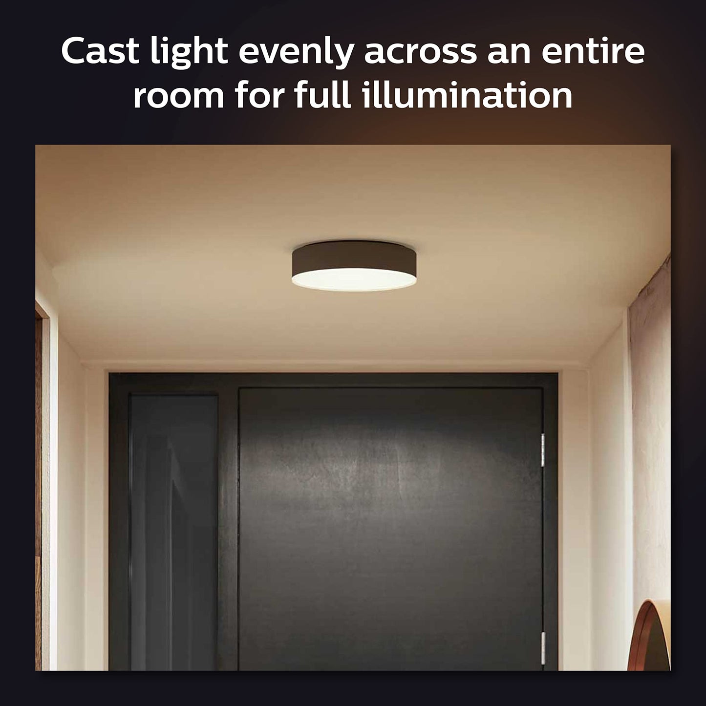 Philips Hue Enrave Large Black Ceiling lamp
