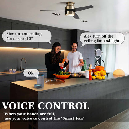 52" flush mount smart ceiling fan, black/gold/silver, Alexa/Google, reversible, timer, no remote/hub.