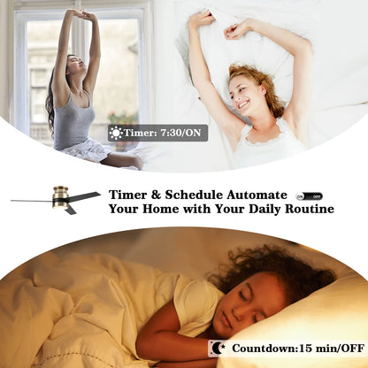 52" flush mount smart ceiling fan, black/gold/silver, Alexa/Google, reversible, timer, no remote/hub.
